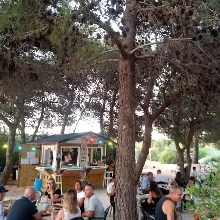 Jungle House - Pineta Is Morus