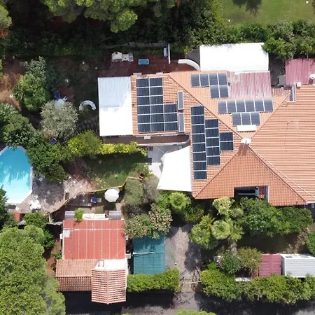 Jungle House - Pineta Is Morus Holiday home