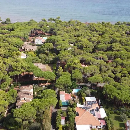 Holiday home Jungle House - Pineta Is Morus