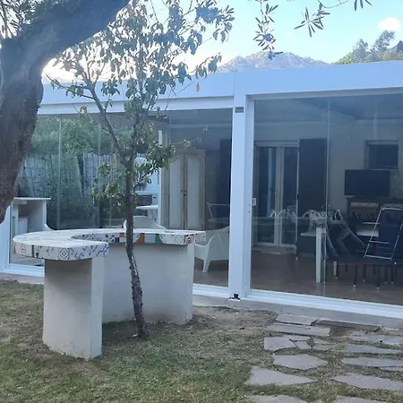 Jungle House - Pineta Is Morus *