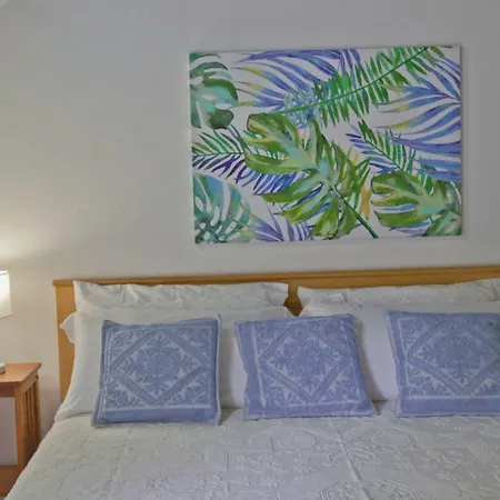 Jungle House - Pineta Is Morus
