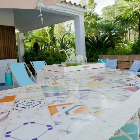 Jungle House - Pineta Is Morus Holiday home *