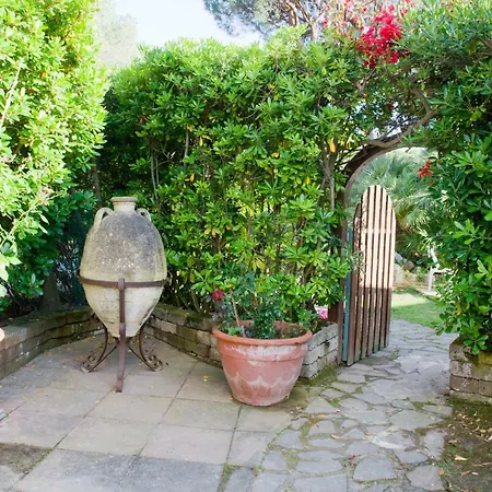 Jungle House - Pineta Is Morus Santa Margherita di Pula
