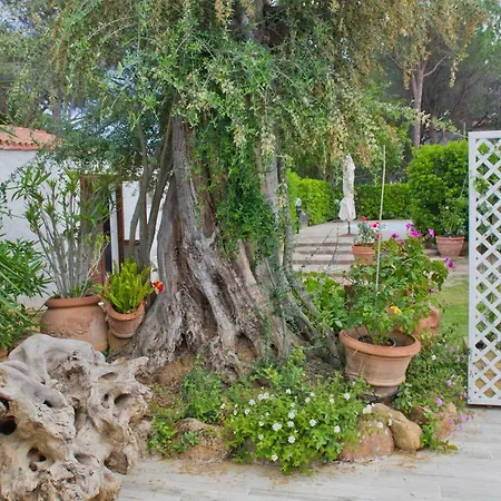 Holiday home Jungle House - Pineta Is Morus *