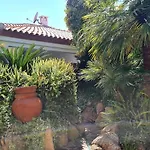 Jungle House - Pineta Is Morus *