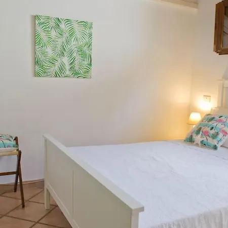 Jungle House - Pineta Is Morus Holiday home