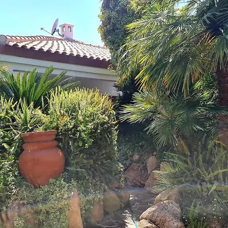 Jungle House - Pineta Is Morus *