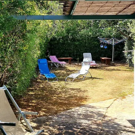 Jungle House - Pineta Is Morus