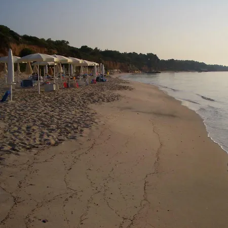 Jungle House - Pineta Is Morus Holiday home *