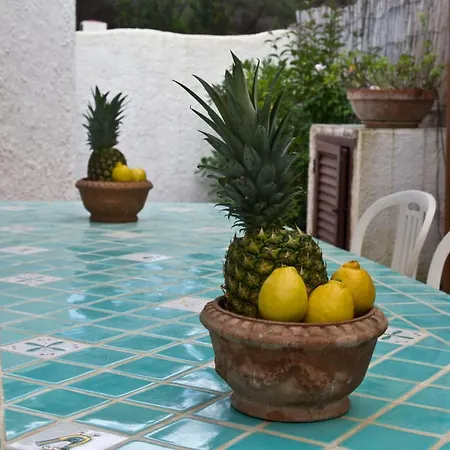 Holiday home Jungle House - Pineta Is Morus *
