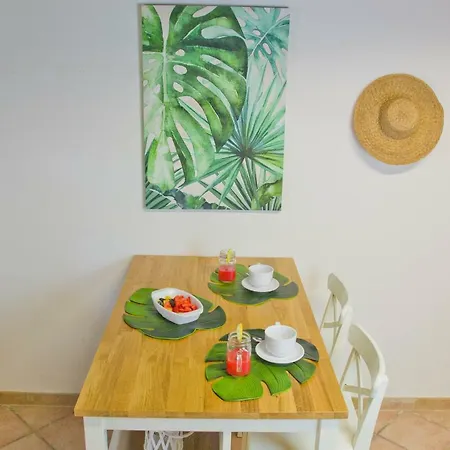 Jungle House - Pineta Is Morus 別荘 *