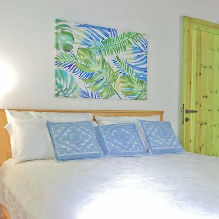 別荘 Jungle House - Pineta Is Morus