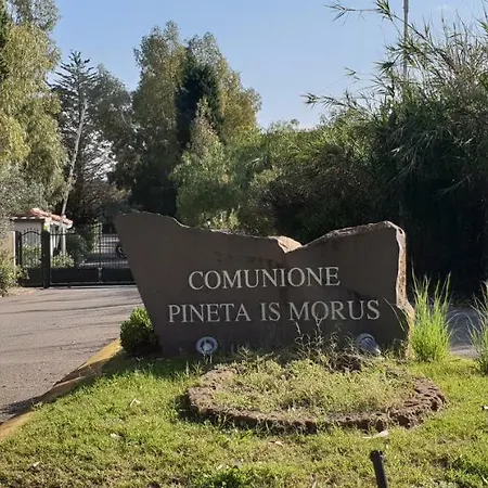Jungle House - Pineta Is Morus Holiday home *