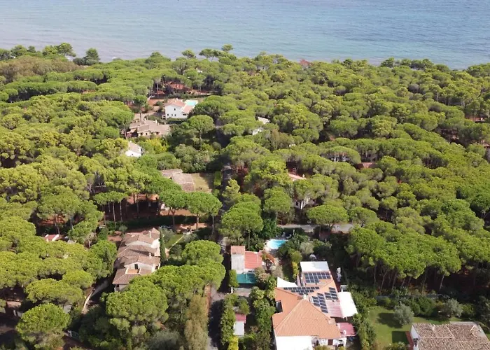 Holiday home Jungle House - Pineta Is Morus