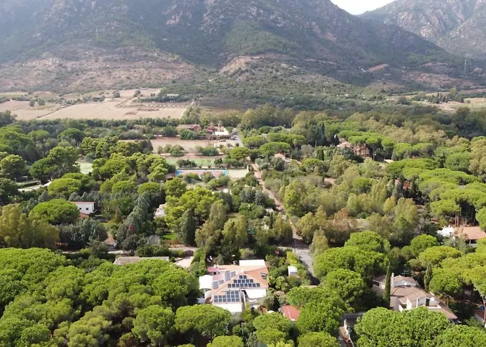 Jungle House - Pineta Is Morus Holiday home Santa Margherita di Pula