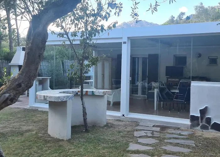Jungle House - Pineta Is Morus *